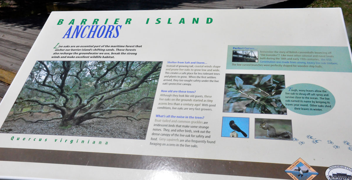 Barrier Island anchor sign about the trees